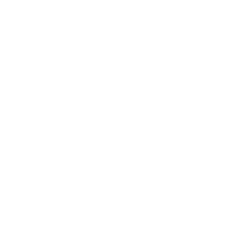 Vision PT logo