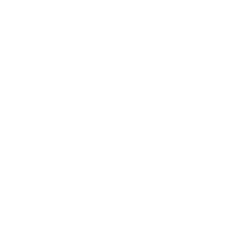 anytime fitness Logo