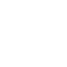 Fitness Playground Logo