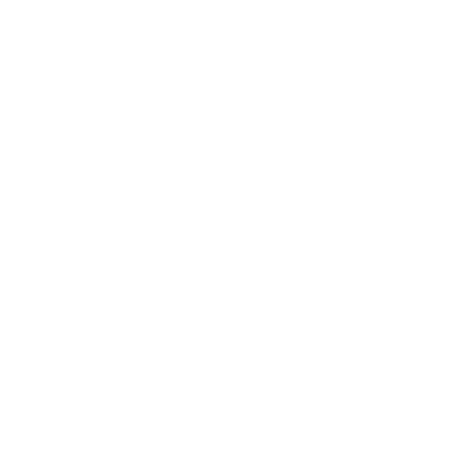 viva Leisure logo